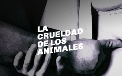 Ciclo «El Cervantes en la UNAHUR»: «La crueldad de los animales»