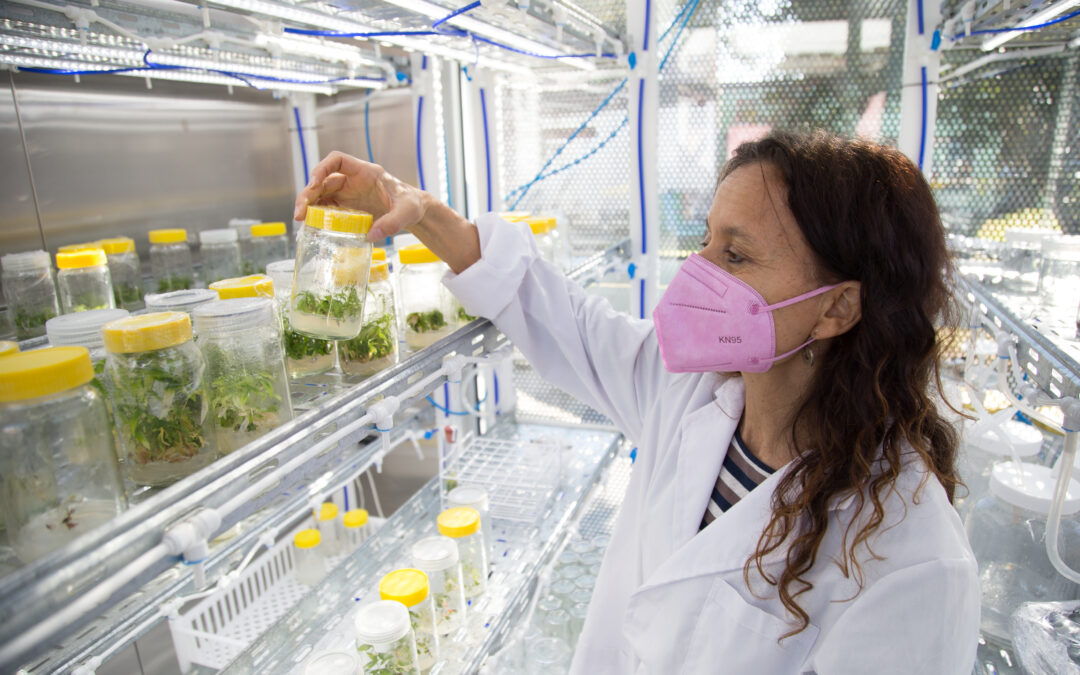 #CienciaUniversitaria ¿Qué se hace en la Biofábrica?