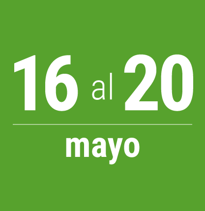 elecciones-web
