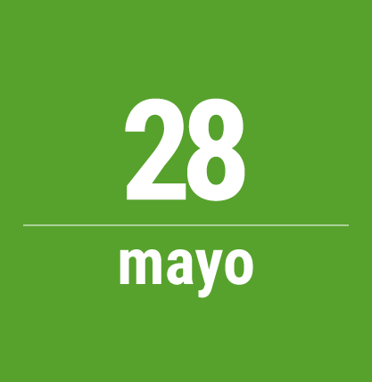 elecciones-web2