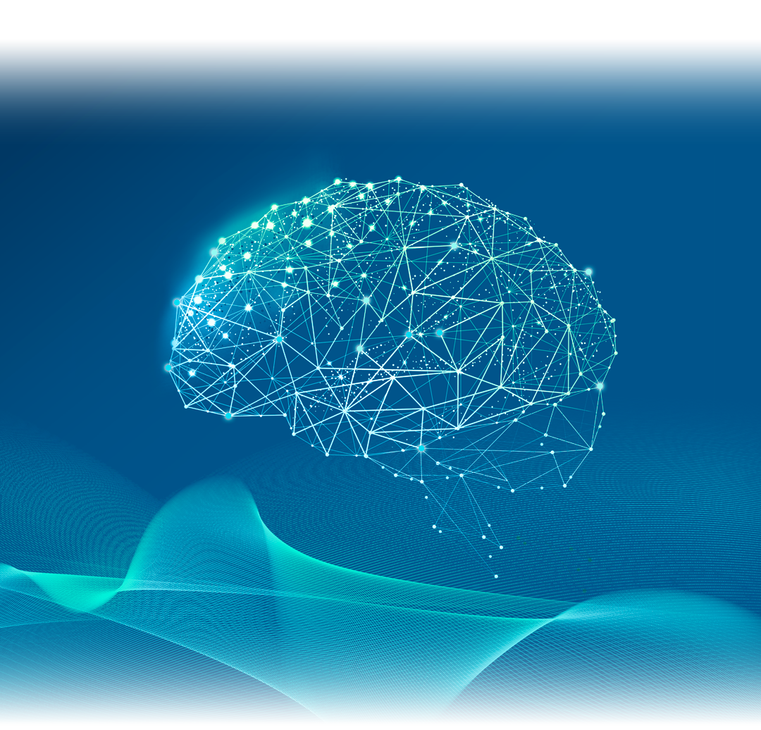 CEREBRO (2)