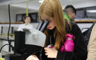 Noche de puertas abiertas