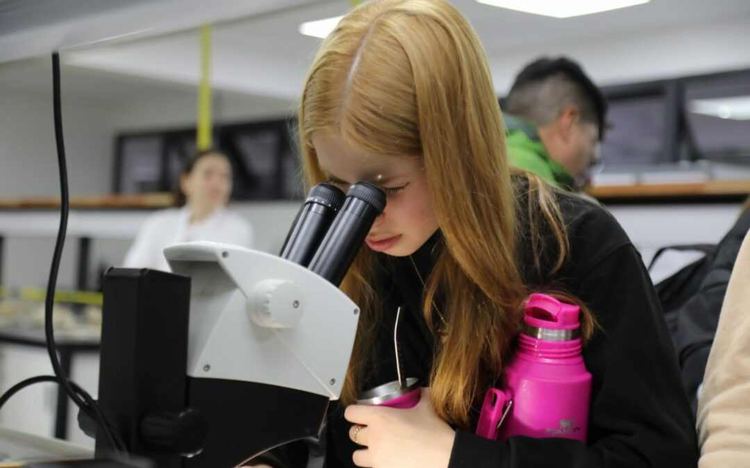 Noche de puertas abiertas