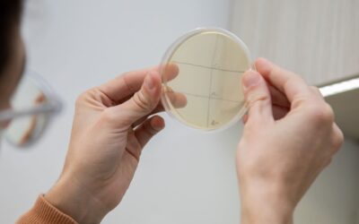 Primera Convocatoria a Proyectos de Investigación y Desarrollo UNAHUR INTA “PID-UI 2026”